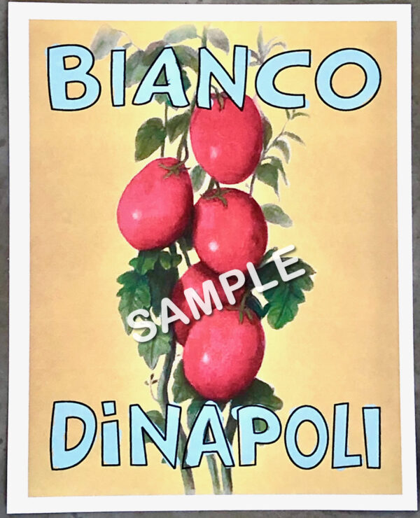 Bianco DiNapoli Poster